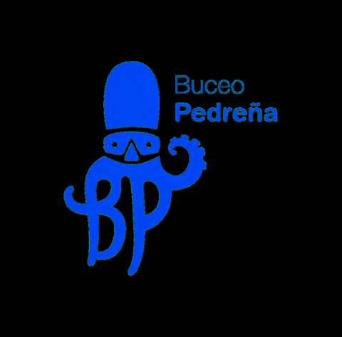 GIF by Buceo Pedreña