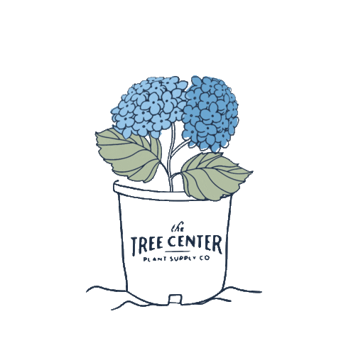 Blooming Blue Flowers Sticker by The Tree Center