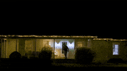 Christmas Corn GIF by AgReliant Genetics