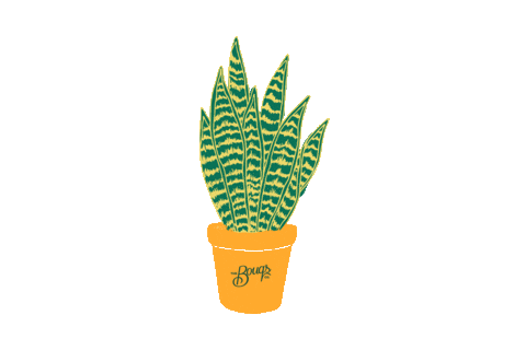 Sticker by TheBouqsCo