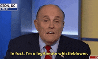 news rudy giuliani GIF