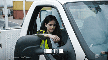 Good To Go Season 1 GIF by Law & Order