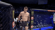 Sport Mma GIF by UFC