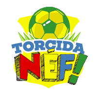copa nef Sticker by Desafio