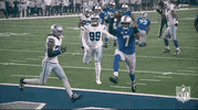 National Football League GIF by NFL
