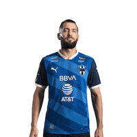 Monterrey Sticker by PUMA