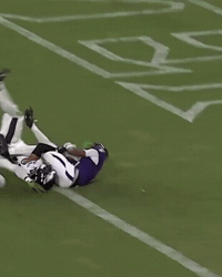 Baltimore Ravens GIF