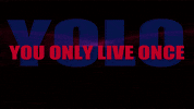 Celebrate Independence Day GIF by Yolo Rum