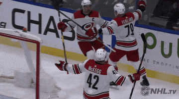 ice hockey hug GIF by NHL