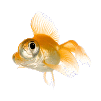 New Music Bateria Sticker by Static & Ben El