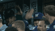 Major League Baseball Sport GIF by MLB