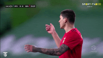 Sl Benfica Darwin GIF by Sport Lisboa e Benfica