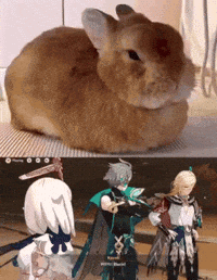 Angry Bunny GIF