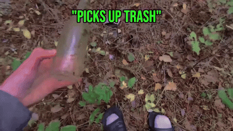 bradydrivesfast giphycreatortest vlogger ctv vlogging GIF