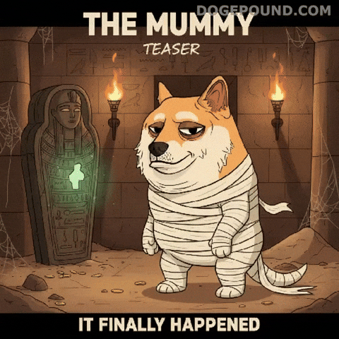 Shiba Inu Halloween GIF by Doge Pound