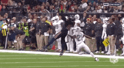 2018 nfl football GIF by NFL