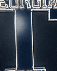 Georgia Tech Baseball GIF by Georgia Tech Yellow Jackets