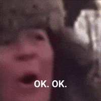 Idiot Ok GIF by theidahosheriff