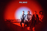 GIF by PALMAS
