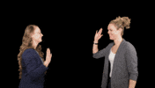 High Five Makelaardij GIF by De Koning Makelaars