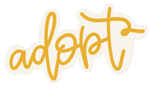 Adopt Sticker