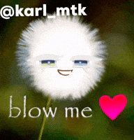 Cookie Run Kingdom GIF