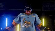 Hockey Lukas GIF by Toledo Walleye