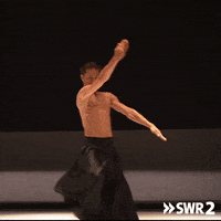 Champion Win GIF by SWR2