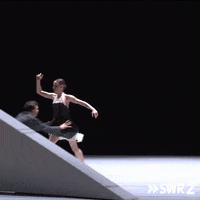 Patrick Swayze Help GIF by SWR2