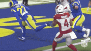 Los Angeles Rams Football GIF by NFL
