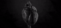 nuclear blast recordings GIF