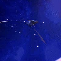 Hauler GIF by No Frills