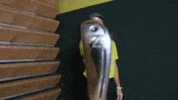 USAODrovers usao drovers college golf usao golf GIF
