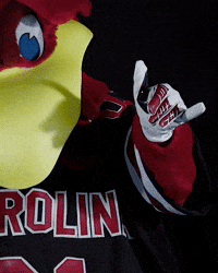 Mascot Spurs GIF by University of South Carolina