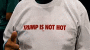Donald Trump California GIF by Respective