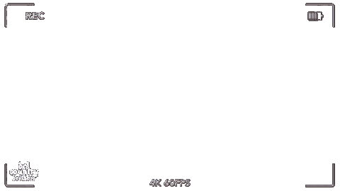 Web Dcb Sticker by DEL COUNTRY BROTHERS