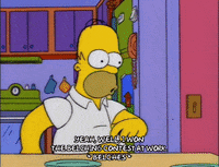 homer simpson jay sherman GIF