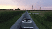 indiana GIF