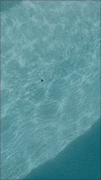 Summer Water GIF