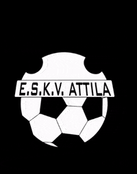 ESKVAttila eindhoven korfbal attila studentenkorfbal GIF