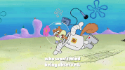 season 9 the fish bowl GIF by SpongeBob SquarePants