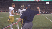 Notre Dame Nd Football GIF by Notre Dame Fighting Irish