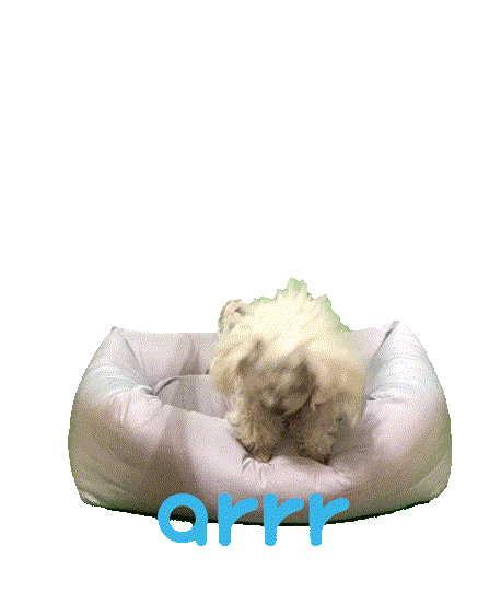 아르르 Sticker by arrr_official