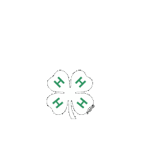 Beyond Ready Sticker by 4-H