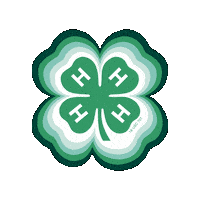 Beyond Ready Sticker by 4-H