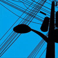 Animation Meme GIF by Odinel pierre