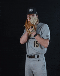 Baseball Dons GIF by Purdue Fort Wayne Athletics