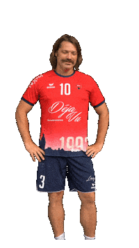 Handball Schnorres Sticker by SG H2Ku