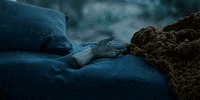 Talk To Me Hand GIF by A24