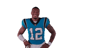 National Football League Sticker by Carolina Panthers